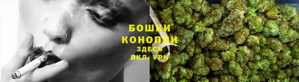 стаф Краснослободск
