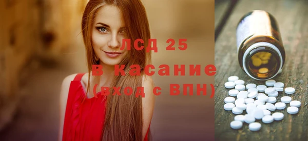 стаф Краснослободск