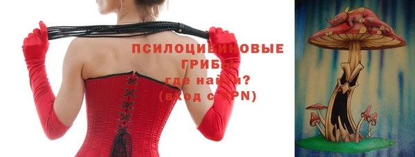 спайс Корсаков
