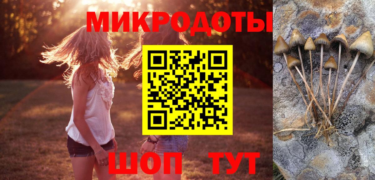 Псилоцибиновые грибы Psilocybe Михайловка