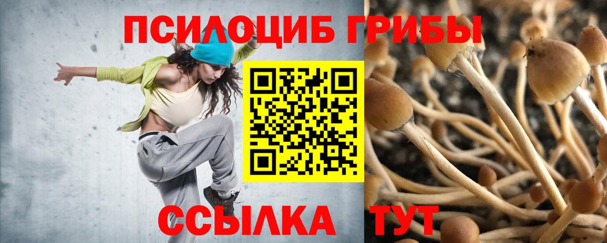Псилоцибиновые грибы ЛСД  Вход с VPN  Михайловка 