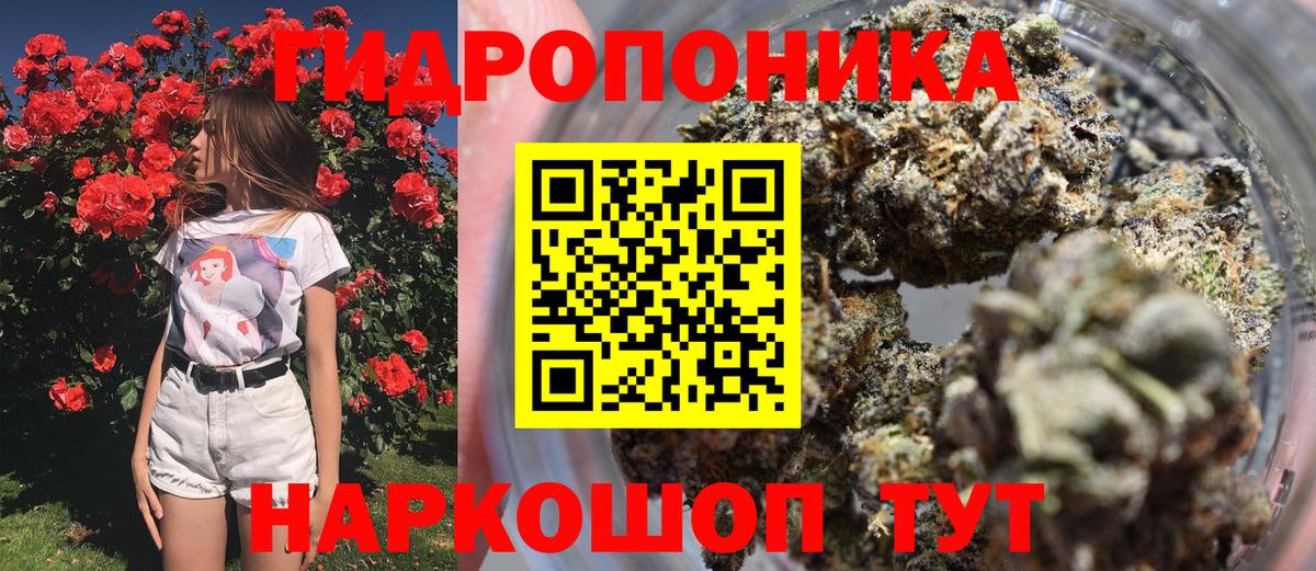 Канабис OG Kush  Вход с VPN  Михайловка  Бошки Шишки гибрид  Канабис OG Kush 